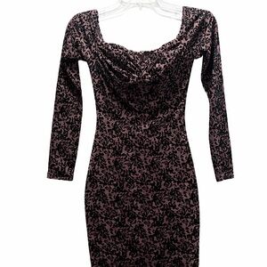 🖤 Windsor Shimmer Taupe & Black Velvet Burnout Bodycon Dress XS NWT NEW ✨